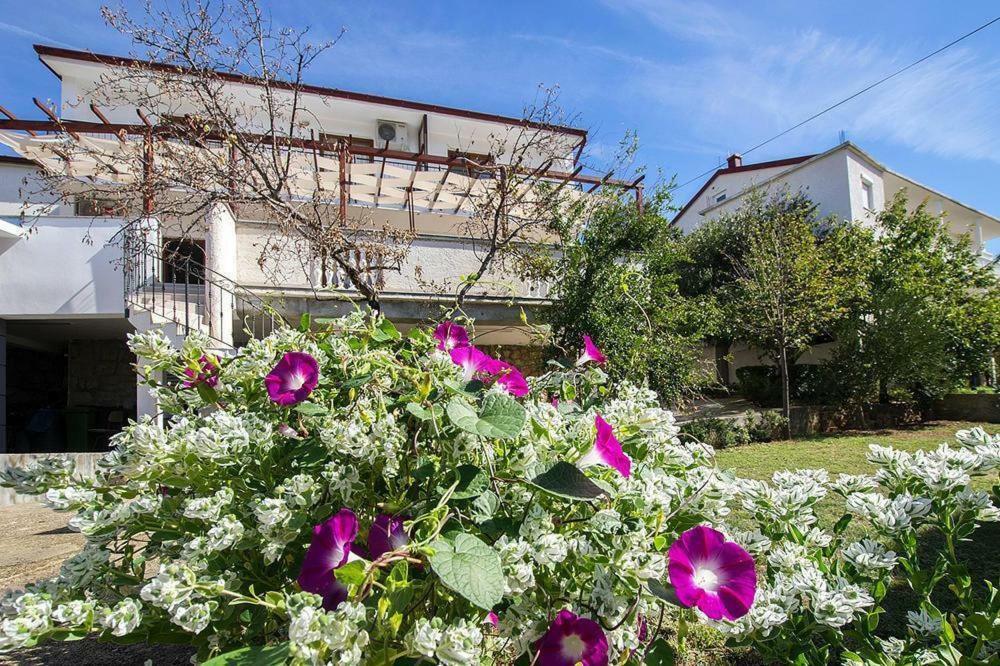 Apartmani Simic ستاريغغاد باكلينتسا المظهر الخارجي الصورة